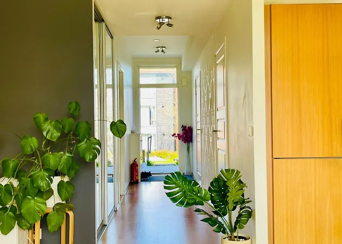 Spacious Modern *