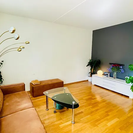 Apartman Spacious Modern *